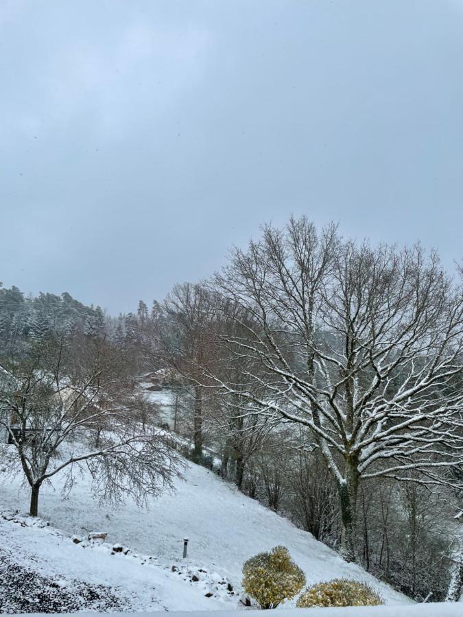 Gite Des Brimbelles La Neuveville-Devant-Lepanges Esterno foto