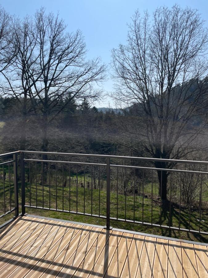Gite Des Brimbelles La Neuveville-Devant-Lepanges Esterno foto