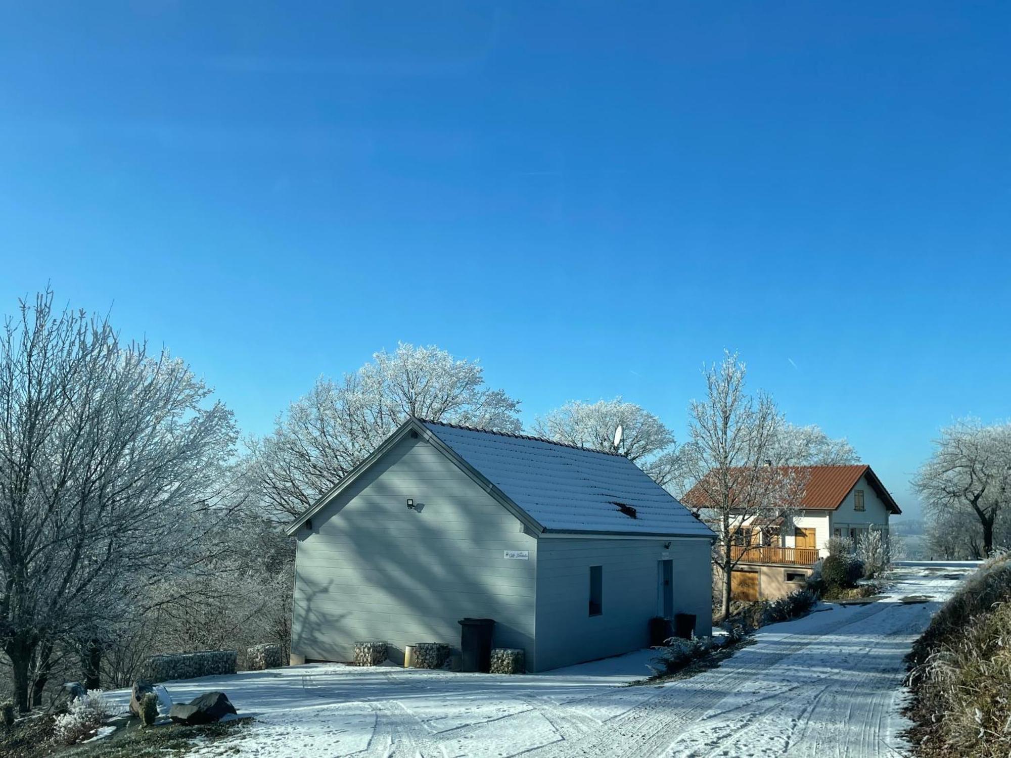 Gite Des Brimbelles La Neuveville-Devant-Lepanges Esterno foto